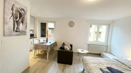 Apartments in Dietikon - photo 5