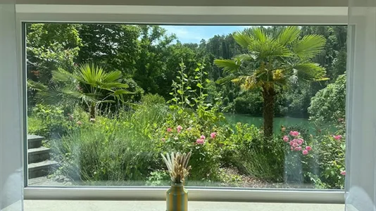 Houses in Waldshut - photo 7