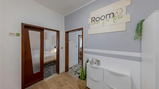 Rooms in Padua - photo 9