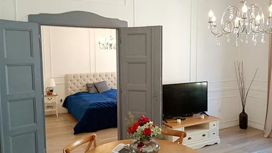 Apartments in Budapest Ferencváros - photo 3