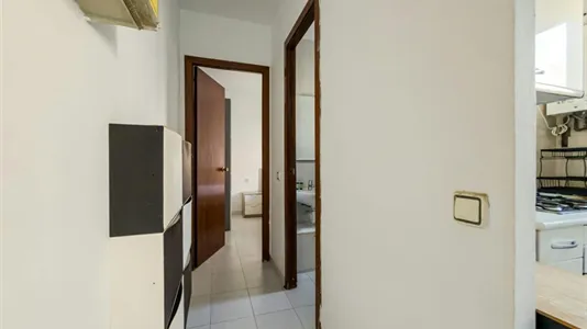 Apartments in Barcelona Sants-Montjuïc - photo 6