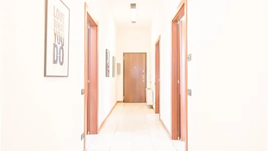 Rooms in Padua - photo 6