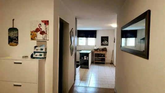 Apartments in Affoltern - photo 4