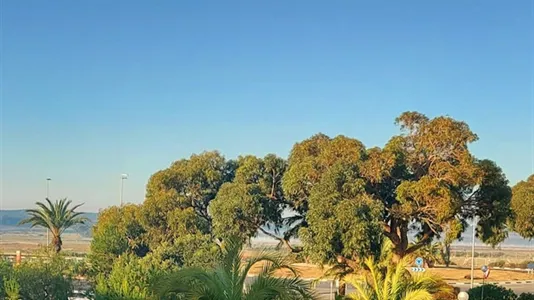 Apartments in Guardamar del Segura - photo 9