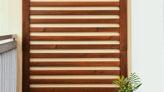 Rooms in Florence - photo 9