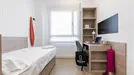 Apartment for rent, Madrid Fuencarral-El Pardo, Madrid, &lt;span class=&quot;blurred street&quot; onclick=&quot;ProcessAdRequest(7982463)&quot;&gt;&lt;span class=&quot;hint&quot;&gt;See streetname&lt;/span&gt;[xxxxxxxxxxxxx]&lt;/span&gt;