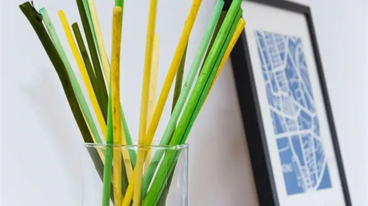 Rooms in Milano Zona 2 - Stazione Centrale, Gorla, Turro, Greco, Crescenzago - photo 8