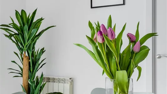 Rooms in Getafe - photo 7