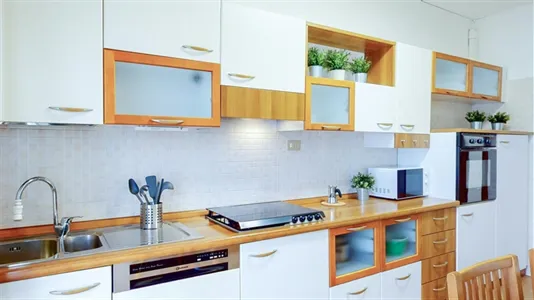 Rooms in Padua - photo 8