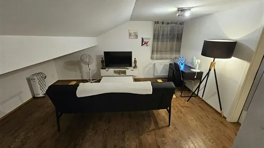 Apartments in Dietikon - photo 2