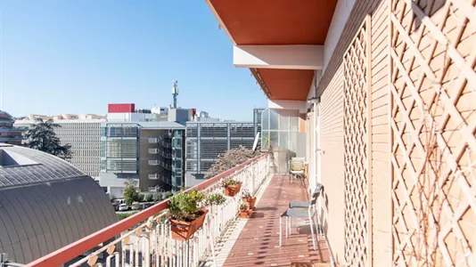 Rooms in Roma Municipio VIII – Appia Antica - photo 6