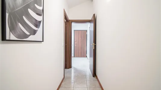 Rooms in Padua - photo 6