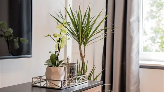 Apartments in Berlin Mitte - photo 8