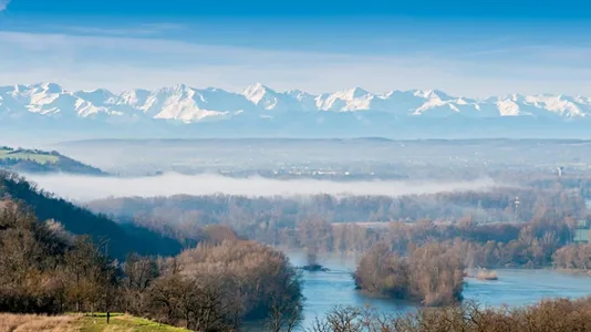 Apartments in Toulouse - photo 7