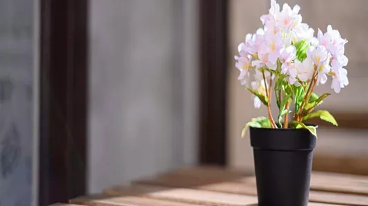 Rooms in Milano Zona 1 - Centro storico - photo 9