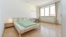 Room for rent, Berlin, <span class="blurred street" onclick="ProcessAdRequest(15250139)"><span class="hint">See streetname</span>[xxxxxxxxxxxxx]</span>