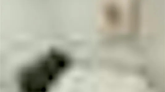 Rooms in Barcelona Eixample - photo 10