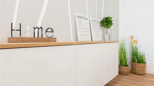 Rooms in Padua - photo 2