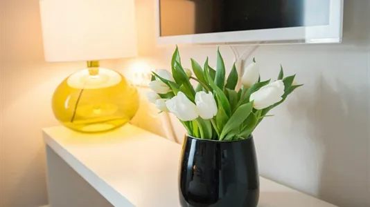 Apartments in Dusseldorf - photo 8