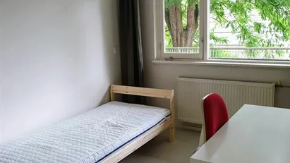Room for rent in Rotterdam