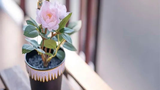 Rooms in Milano Zona 6 - Barona, Lorenteggio - photo 4