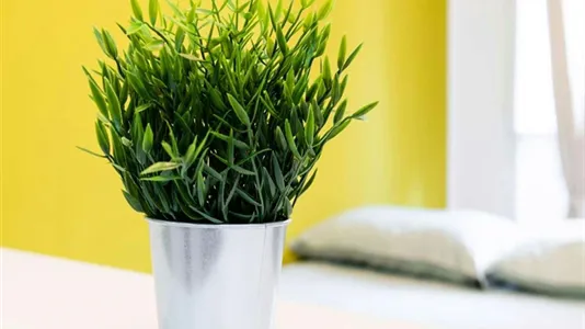 Rooms in Milano Zona 1 - Centro storico - photo 5