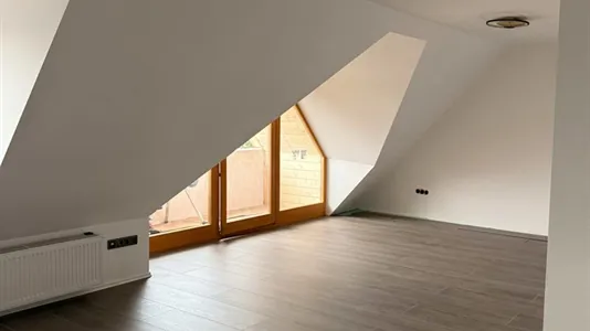 Apartments in Amberg-Sulzbach - photo 3