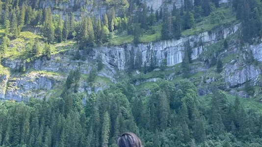 Houses in Biel - photo 9