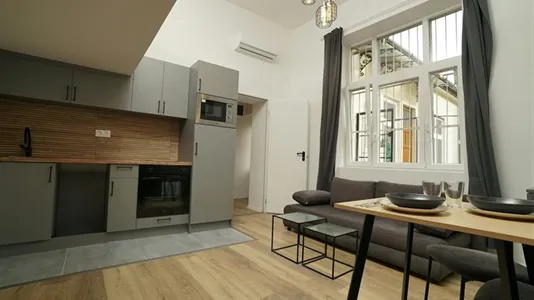 Apartments in Budapest Terézváros - photo 5