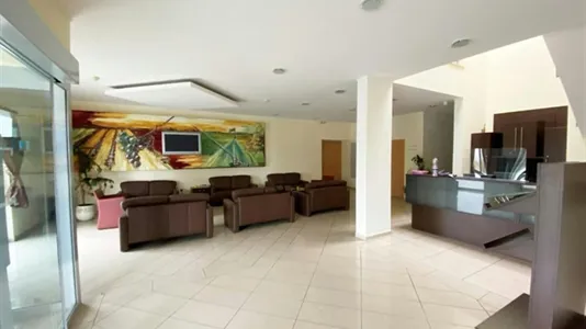 Apartments in Donnerskirchen - photo 5