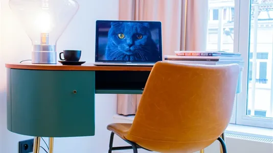 Apartments in Stad Brussel - photo 4