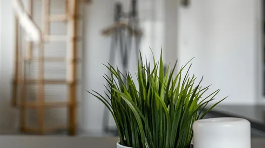 Apartments in Essen - photo 7