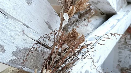 Apartments in Aachen - photo 8