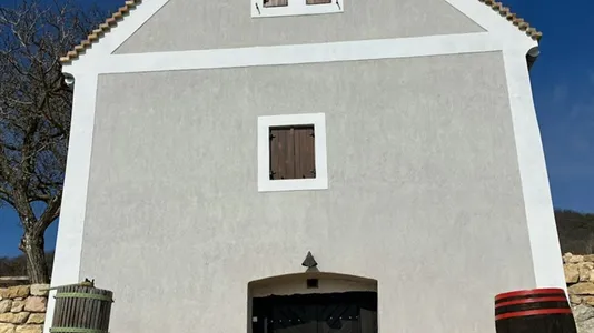 Houses in Balatonfüredi - photo 4