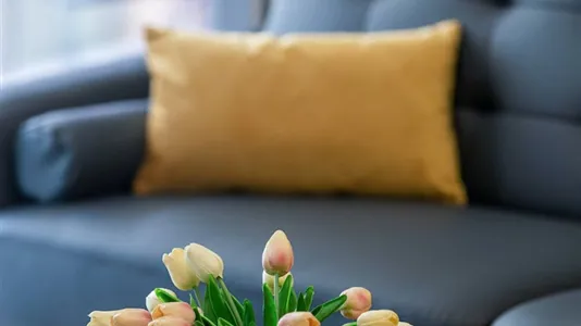 Apartments in Poznań - photo 10