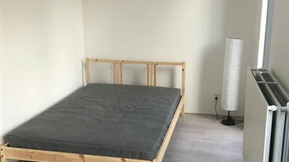 Room for rent in Amsterdam
