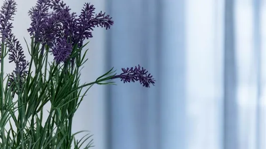 Rooms in Turin - photo 8