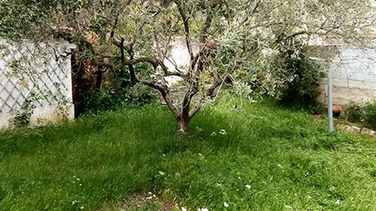 Rooms in Avignon - photo 6