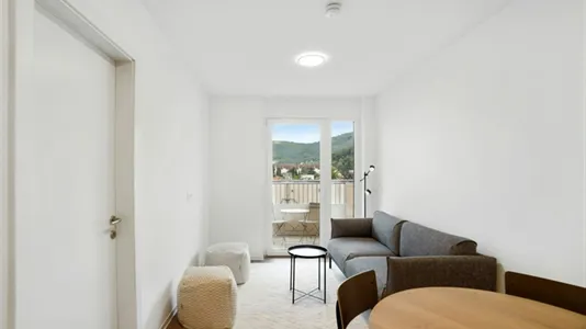 Apartments in Graz - photo 10