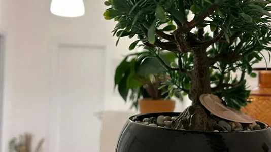 Rooms in Brescia - photo 9