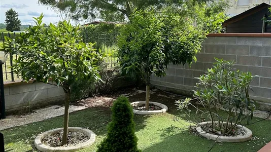 Houses in Pontedera - photo 10