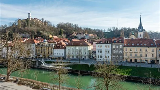 Apartments in Besnica - photo 8