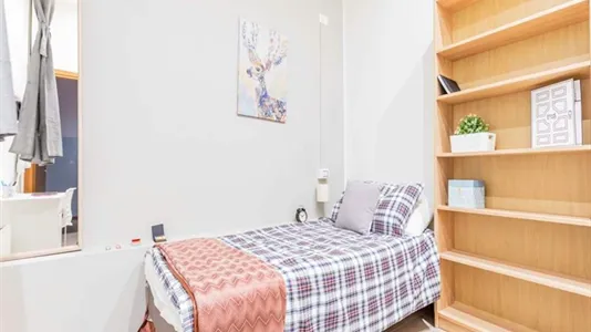 Rooms in Bologna - photo 2