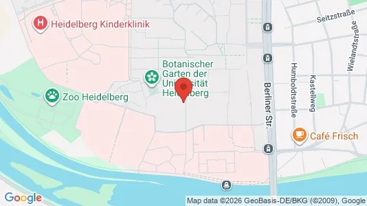Apartments for rent in Heidelberg - Photo from Google Street View