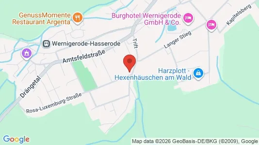 Apartments for rent in Harz - Photo from Google Street View