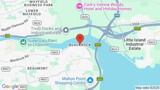 Houses for rent i Blackrock - kort over placeringen