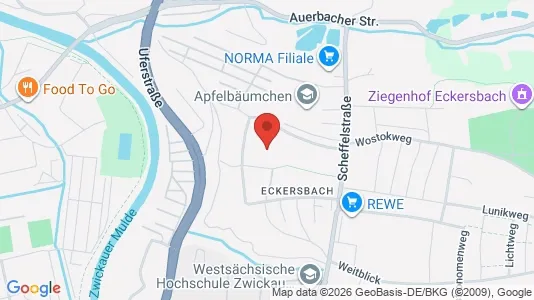 Apartments for rent in Zwickau - Photo from Google Street View
