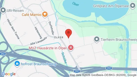 Apartments for rent in Braunschweig - Photo from Google Street View