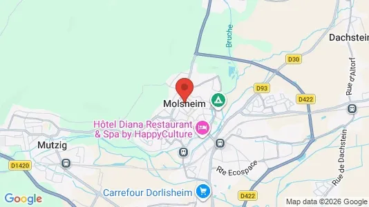 Apartments for rent in Molsheim - Photo from Google Street View