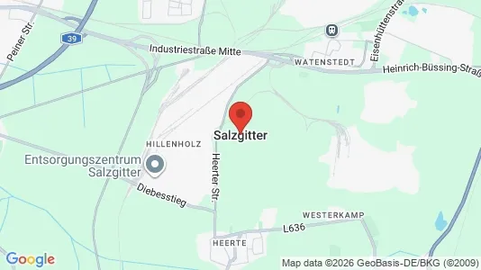 Apartments for rent in Salzgitter - Photo from Google Street View